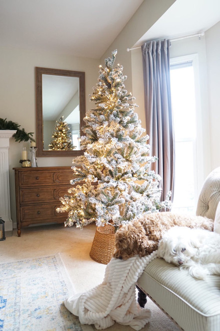 Pre-Lit Flocked Balsam Pine Artificial Christmas Tree - 7' - Clear Lights