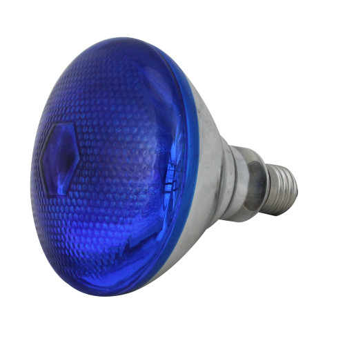 Incandescent Weatherproof 100 Watt Indoor/Outdoor Blue Floodlight Bulb