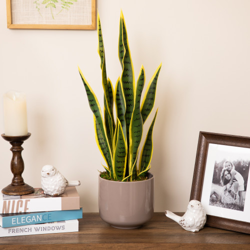 Real Touch™️ Artificial Potted Striped Leaf Dracaena Snake Plant - 29"