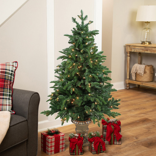 Real Touch™️Potted Sierra Norway Spruce Slim Artificial Christmas Tree - 4.5' - Clear Lights