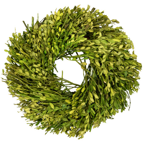 Green Foliage Artificial Spring Wreath - 10" - Unlit