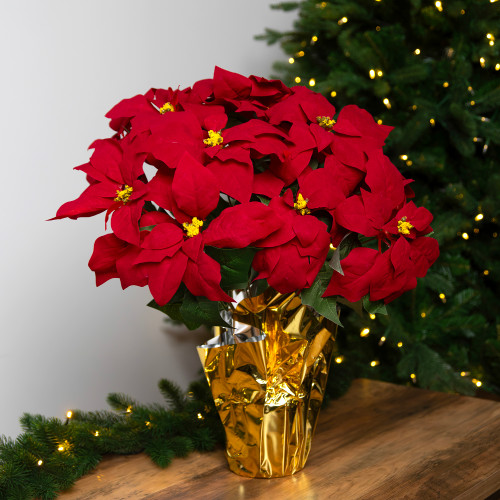 Artificial Christmas Poinsettia with Gold Wrapped Pot - 20" - Red