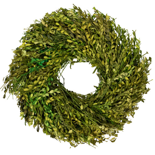 Green Foliage Artificial Spring Wreath - 15" - Unlit