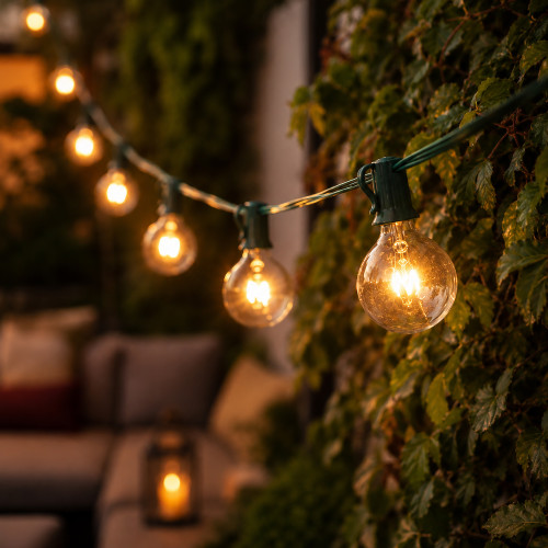 G50 Globe Indoor Outdoor Patio Lights - Clear - 9' Green Wire - 10ct