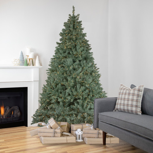 Pre-Lit Full Spruce Artificial Christmas Tree - 7.5' - Candlelight Clear LED Lights
