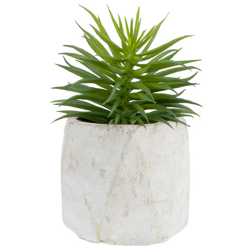 5.5" Potted Artificial Succulent in Cement Pot
