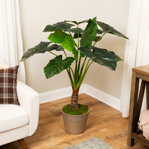 Potted Green Wide Leaf Taro Artificial Floor Plant - 51"