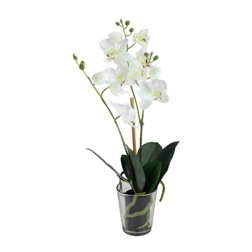 18.5" Potted Phalaenopsis Orchid Artificial Silk Flower Arrangement in Vase