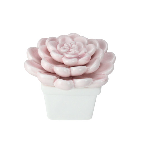 3.25" Pastel Pink Contemporary Potted Ceramic Succulent Plant