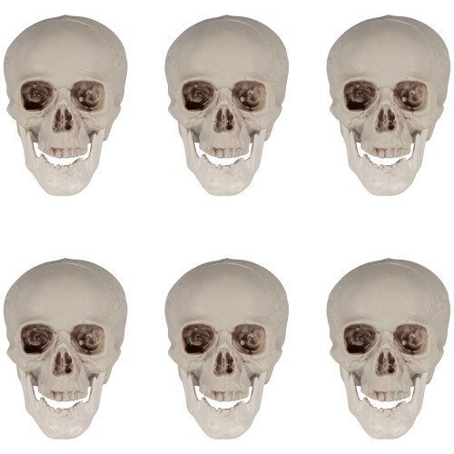 Shruken Skeleton Skulls Halloween Decorations - 4.5" - Set of 6