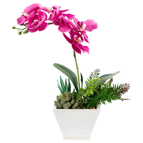 Artificial Orchid with Succulent Plants - 13" - Dark Pink