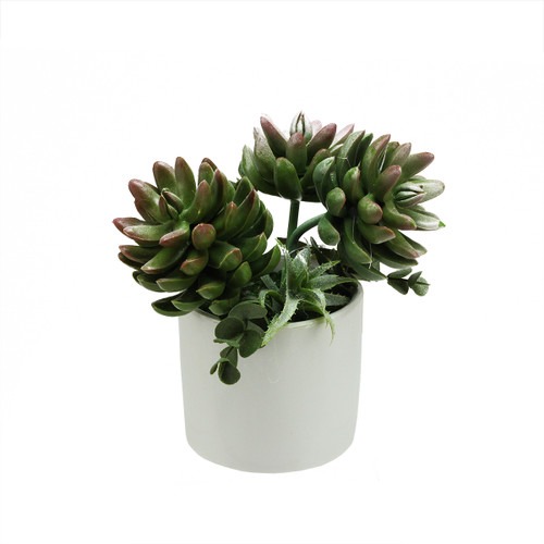 8" Potted Green and White Mixed Succulent Artificial Plants
