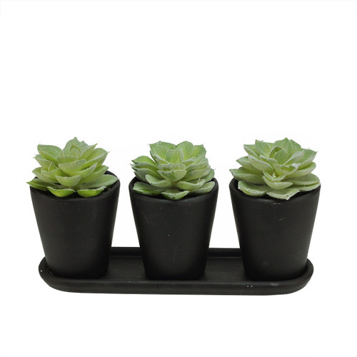 9" Artificial Echeveria Succulent Plants in Decorative Black Pots Table Top Centerpiece