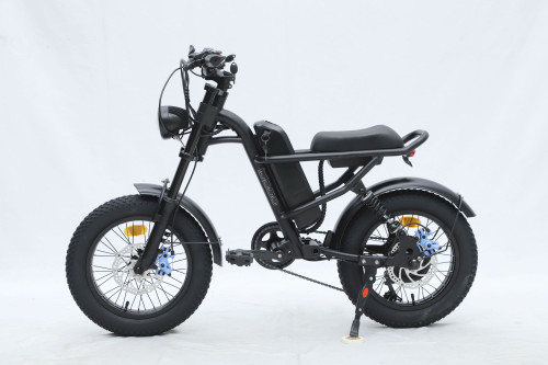 GT-0J2 New Design 16'' Mountain Electric Bicycle Out Door With Fat Tire Ebike