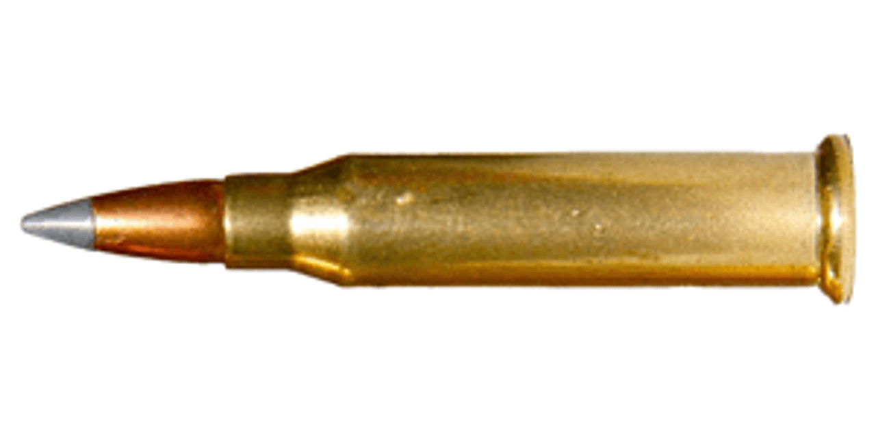 .17 WSM Ammo