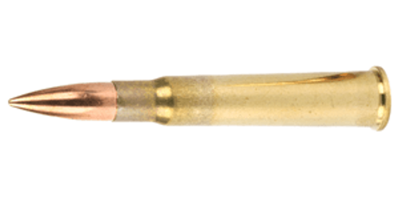 .303 British Ammo