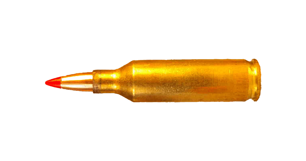 .17 Hornet Ammo