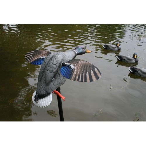 Mojo HW2460 Elite Series King Mallard Decoy