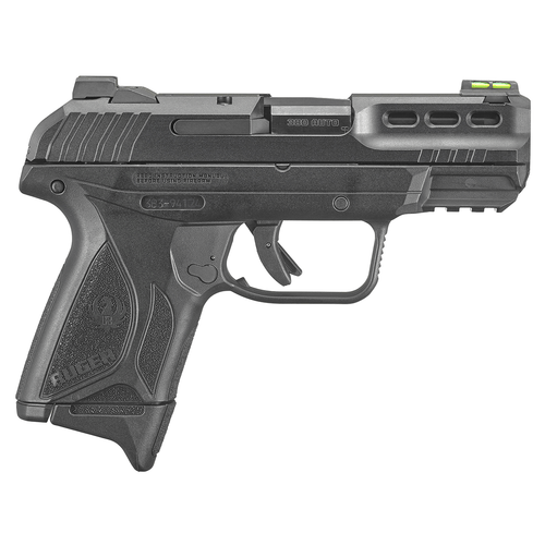 Ruger 3839 Security-380 380 ACP Semi Automatic Pistol