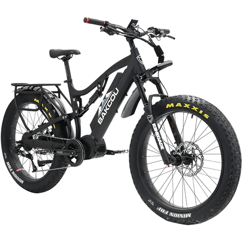 Bakcou E-bikes Storm 25 Medium, Front  View