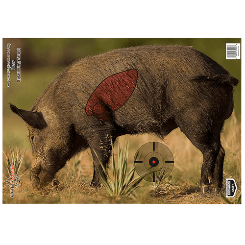 Birchwood Casey Pregame Boar Target, Front View