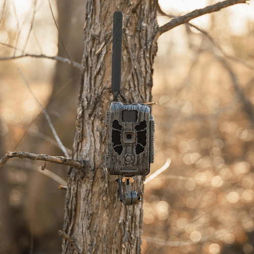 Stealth Cam Deceptor Max Cellular Trail Camera, Outdoor View