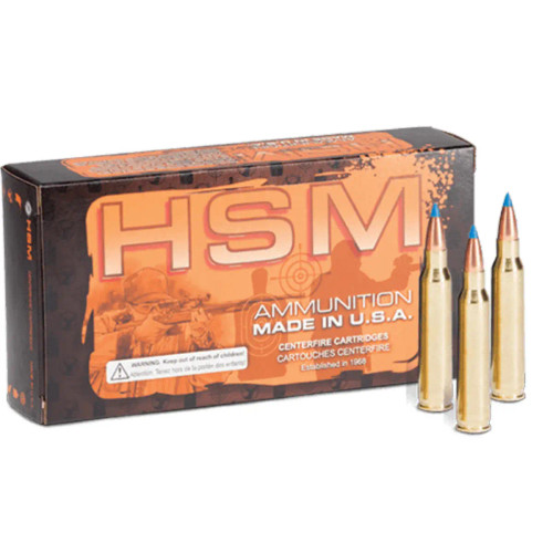 HSM 204 Ruger 32gr Blitz King 20 Per Box 204R3N