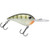YELLOW PERCH Rapala