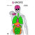 Action Target GSANATOMY100 Anatomy Training Target Silhouette/Vitals Paper Target 23" x 35" 100 Per Box