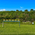 DEGuns Shooting Range