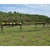 DEGuns Shooting Range