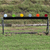 DEGuns Shooting Range