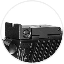 adjustable rear sight
