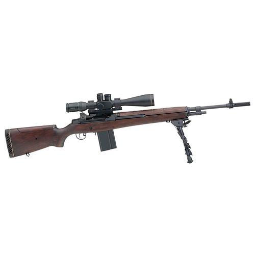 Springfield Armory M1A M21 Tactical