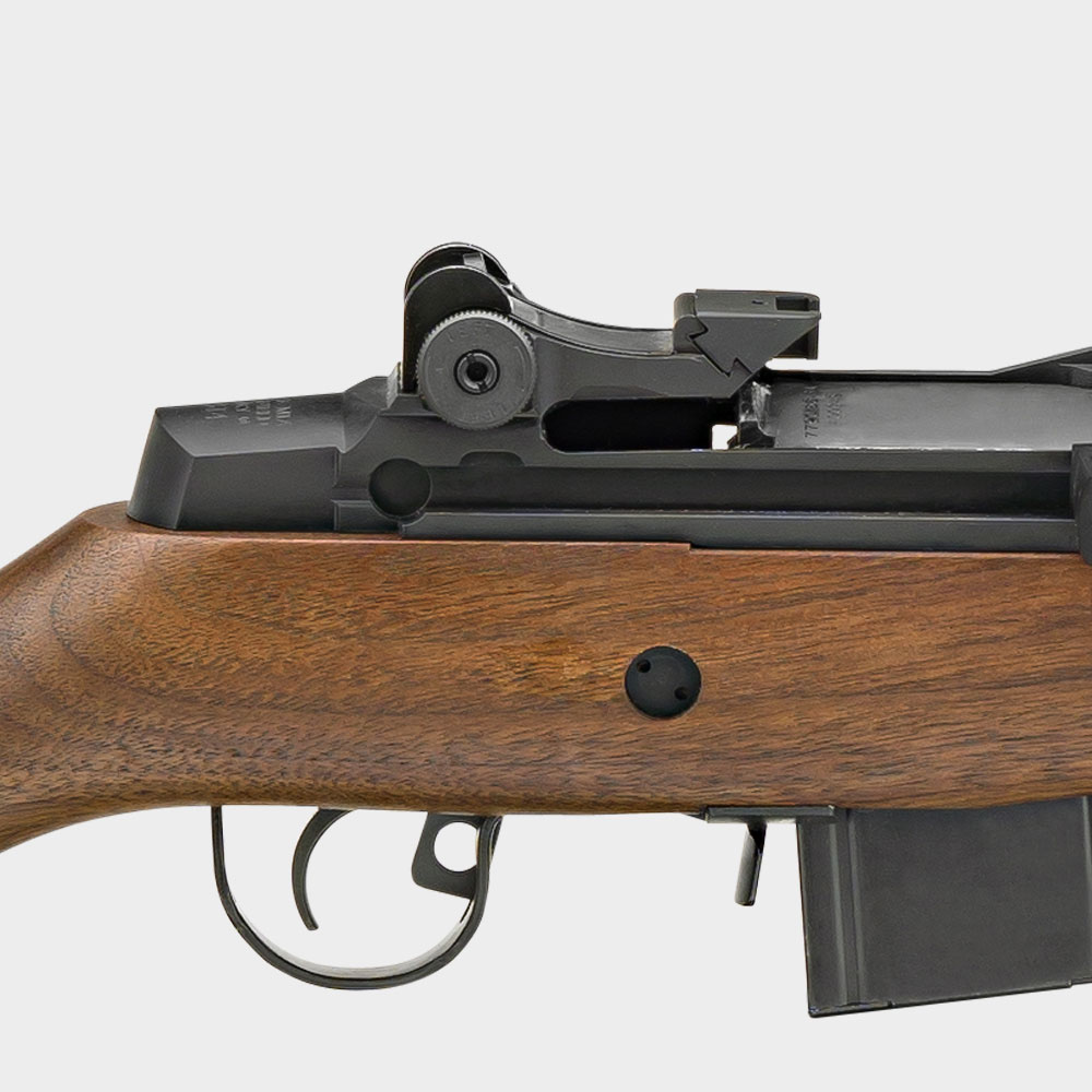 Match-Grade Aperture Rear Sight