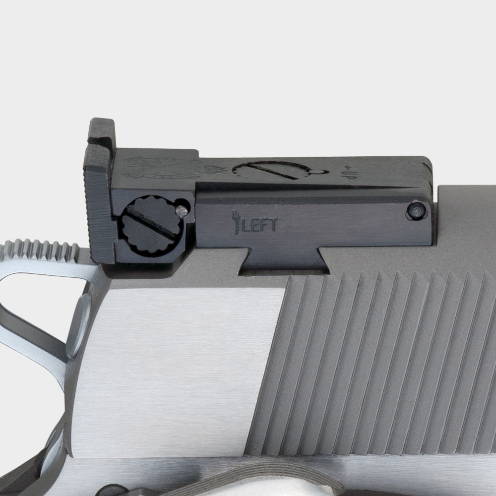 Fully Adjustable Target Sight