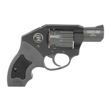 Charter Arms 12311 Walker 22 Mag 8 Shot 2"