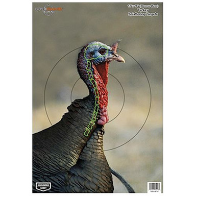 Birchwood Casey 35403 Pregame  Turkey Hanging Paper Target 12" x 18" 8 Per Pack