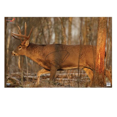 Birchwood Casey 37481 EZE-Scorer  Paper 23" x 35" Whitetail Deer 2 Per Pack