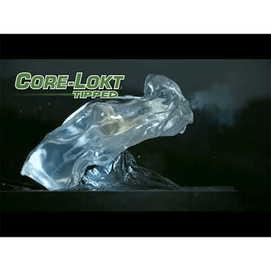 Remington Core-Lokt Tip 165 Grain Deer Ammo 30-06