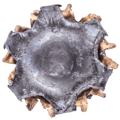 Federal Train + Protect 380 ACP 85 gr Versatile Hollow Point 50 Per Box