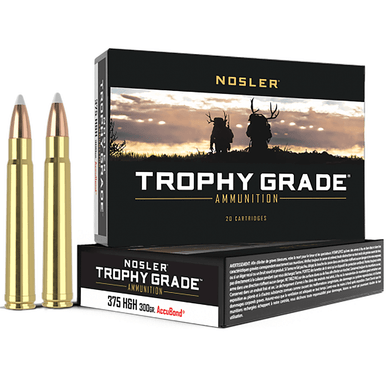 Nosler Trophy Grade 375 H&H Mag 300 gr Nosler AccuBond 20 Per Box