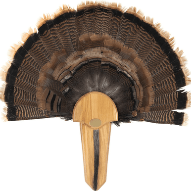 Allen 7220 Company EZ Mount Exhibition Turkey Tail Mounting Kit WD