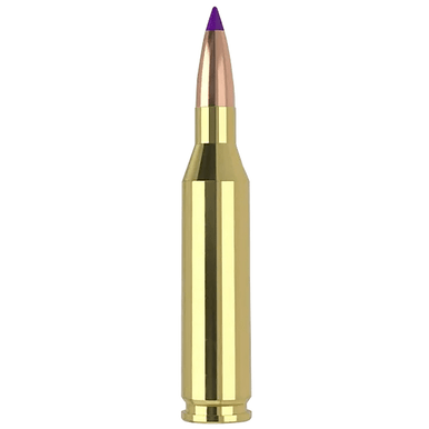 Nosler 40041 243 Win 70 gr Ballistic Tip Varmint 20 Per Box