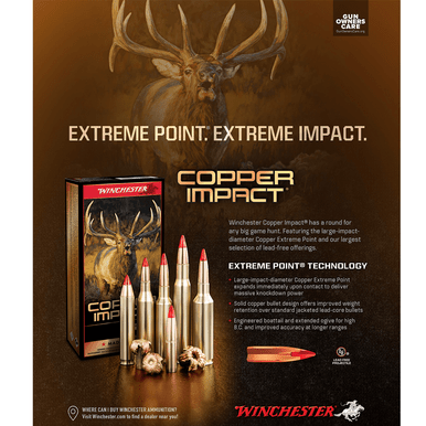 Winchester Ammo X243CLF Copper Impact 243 Win 85 gr Copper Extreme Point Lead Free 20 Per Box