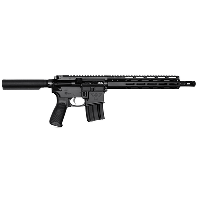 Wilson Combat Protector 300 HAM'R AR-15 Pistol-TRPP300H13B