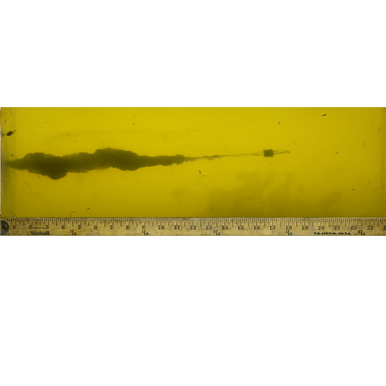 Federal Premium Personal Defense .45 ACP 230gr Hydra-Shok Jacketed Hollow Point, 20 Rounds Per Box - P45HS1