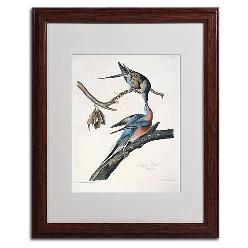 Trademark Fine Art 'Passenger Pigeon' 16" x 20" Wood Frame Art (65dc8fe700faa780822770fa_ud)