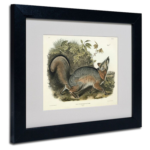 Trademark Fine Art 'Canis Virginianus' 11" x 14" Black Frame Art (65dc8fea00faa78082277102_ud)