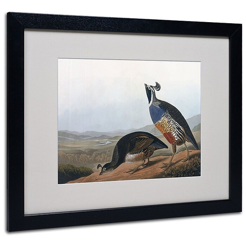 Trademark Fine Art 'Californian Partridge' 16" x 20" Black Frame Art (65dc908f00faa780822772ac_ud)